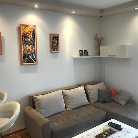 Apartman Stojanovic R Νόβι Σαντ Εξωτερικό φωτογραφία