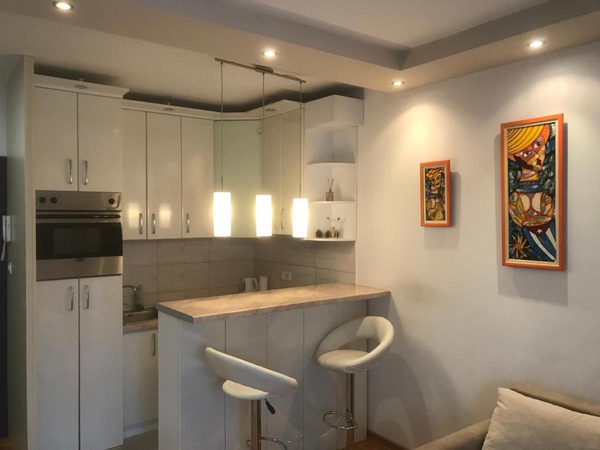 Apartman Stojanovic R Νόβι Σαντ Εξωτερικό φωτογραφία